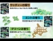 PIAA 北海道森林系 精油消臭 車用芳香 ※日本原裝進口※